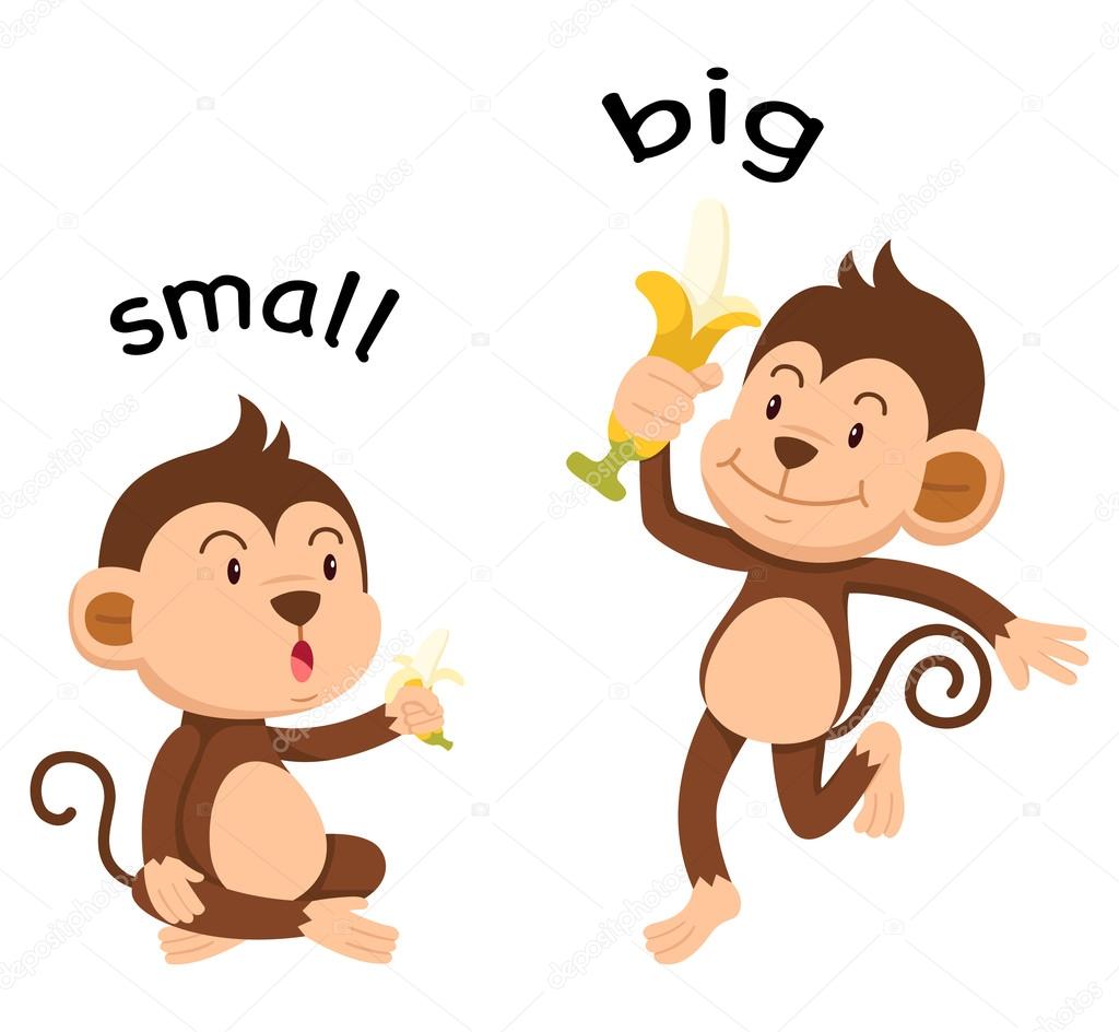 Opposite English Words Big Small Vector Stock Vector (Royalty Free
