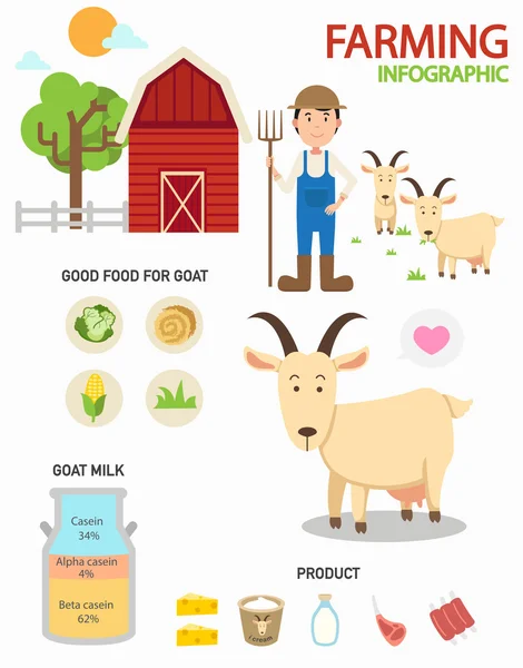 Infografis pertanian kambing, ilustrasi - Stok Vektor