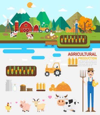 Agricultural production infographic.vector clipart