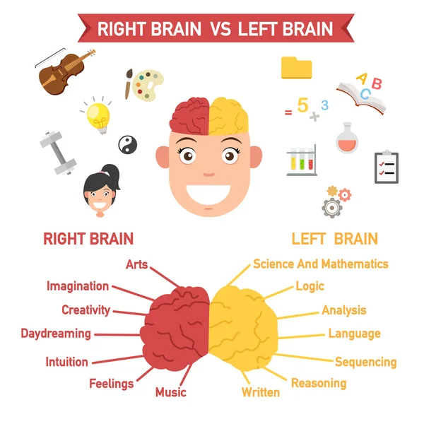 Funciones cerebrales izquierda y derecha, vector — Archivo Imágenes Vectoriales