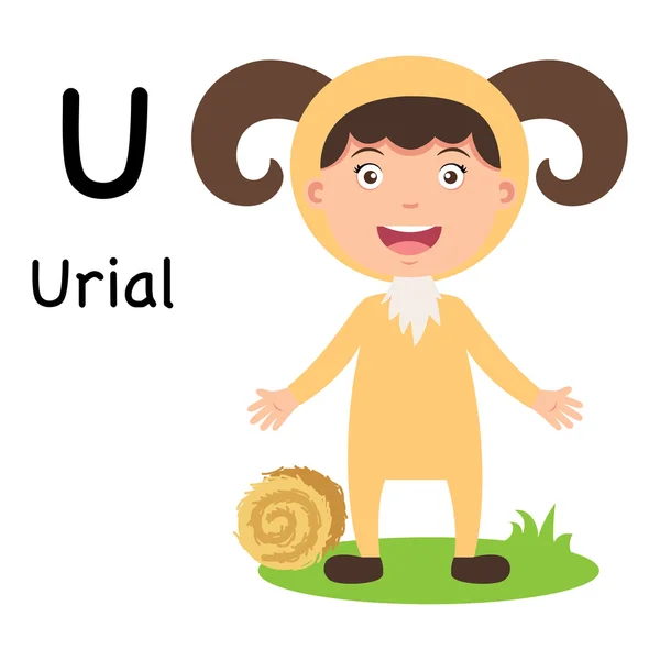 Alfabetet bokstaven U-urial, vektor — Stock vektor