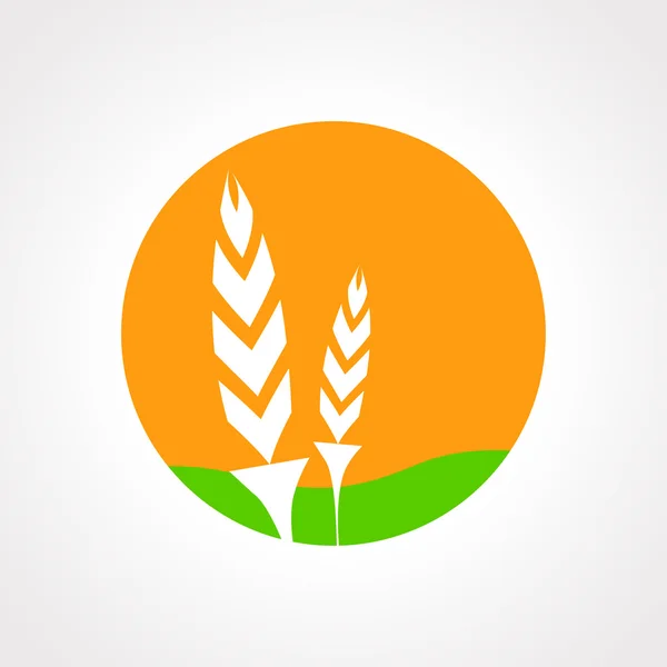 Wheat icon vector — Stock Vector