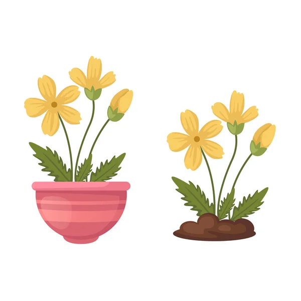 Çiçek vazo vektör — Stok Vektör