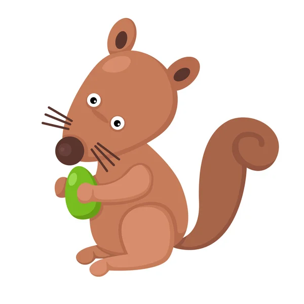 Illustratie van geïsoleerde eekhoorn met moer op witte achtergrond — Stockvector
