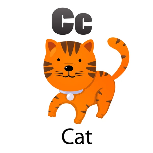 Alphabet letter C-Cat — Stock Vector