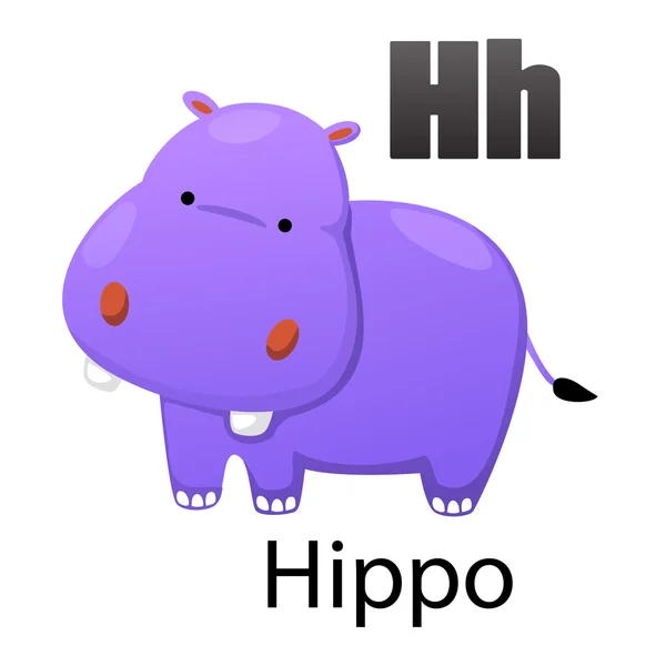 Alfabetet bokstaven H-Hippo — Stock vektor