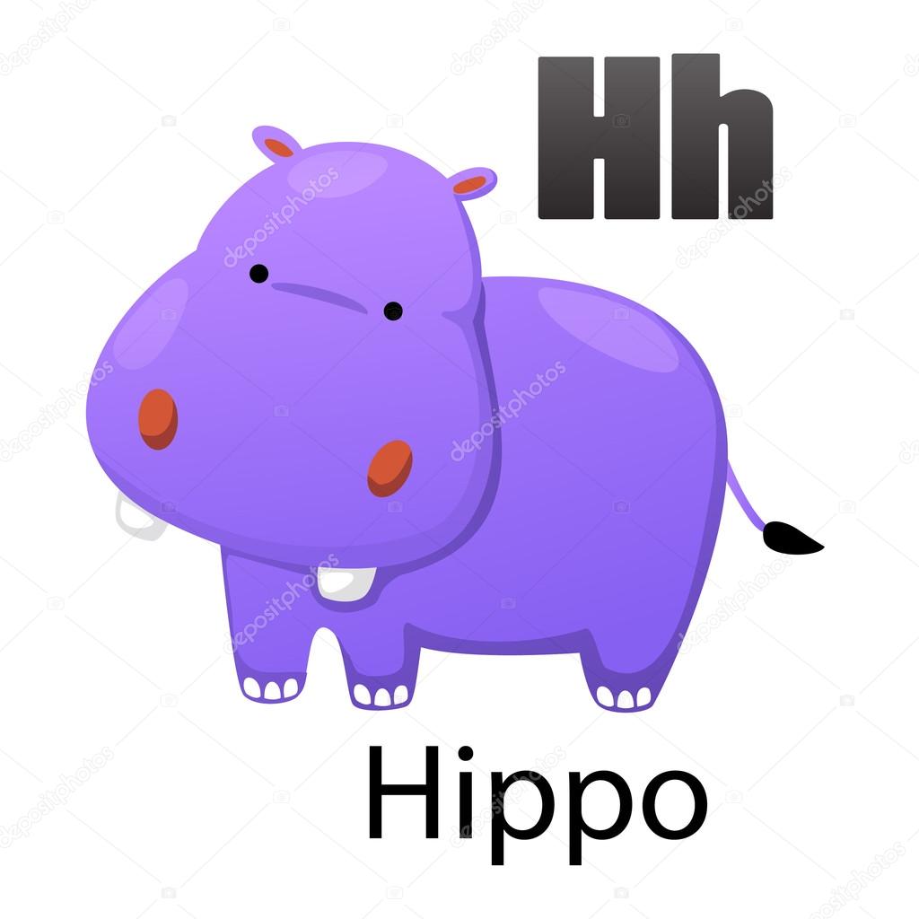 карточки на английском для детей. Hippo на английском для детей. гиппопотам по английски. карточки животные английский h hippo. Hippo произношение.