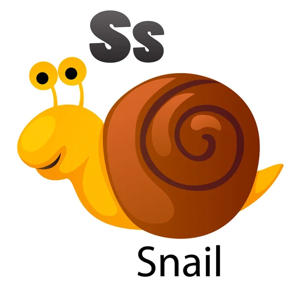 Lettre alphabet S-Snail — Image vectorielle