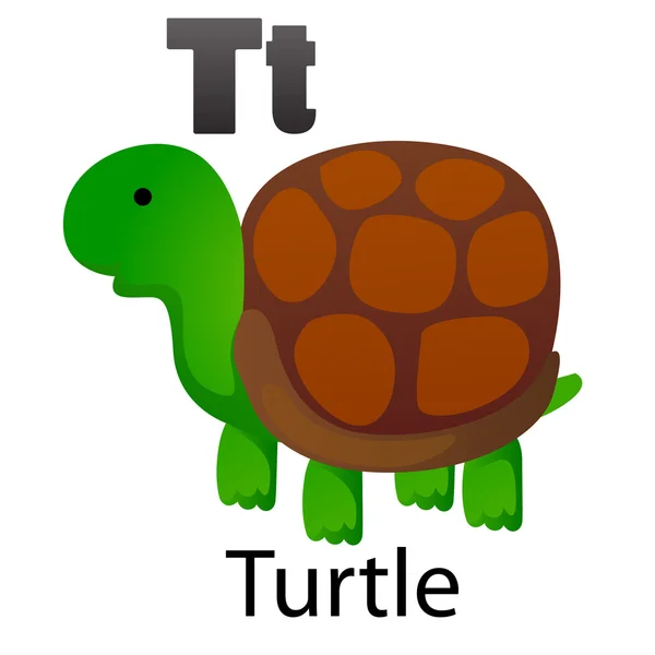 Letra del alfabeto T-Turtle — Vector de stock