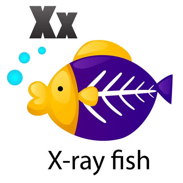 Letra del alfabeto X-X-ray fish — Vector de stock