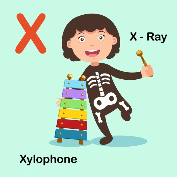 Abbildung isolierter Buchstabe des Alphabets x-x ray, Xylophon — Stockvektor
