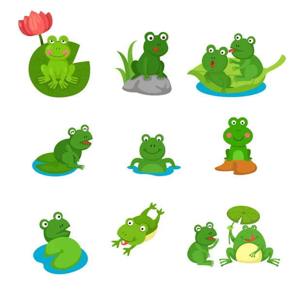 Cartoon Frog Collection Isolated Illustration Vector — Stock Vector