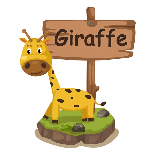 Alphabet animal lettre G pour girafe — Image vectorielle