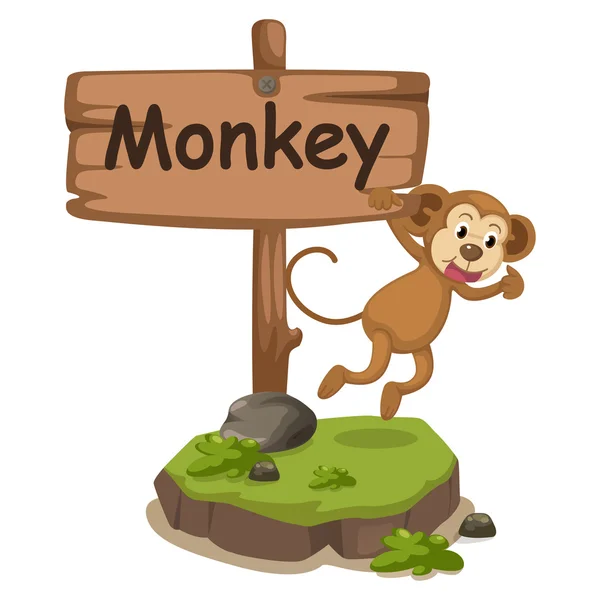 Alfabeto animal letra M para macaco —  Vetores de Stock