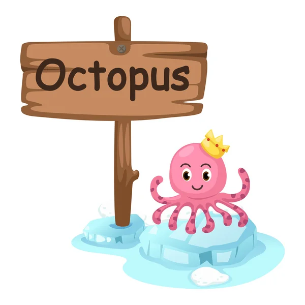 Dierlijke alfabet brief o voor octopus — Stockvector