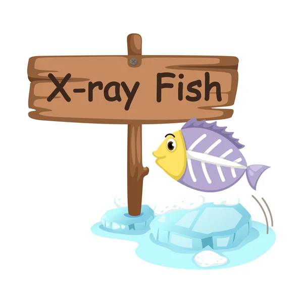 Alfabeto animal letra X para peixes de raios X — Vetor de Stock