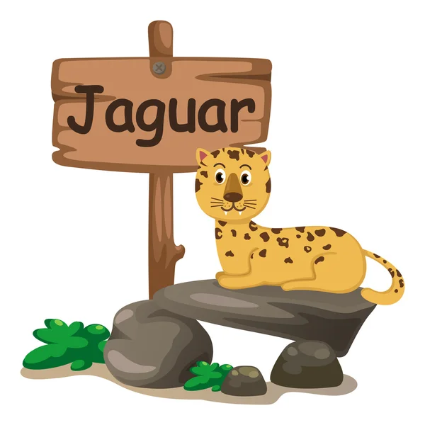 Alfabeto animal letra J para jaguar — Vector de stock