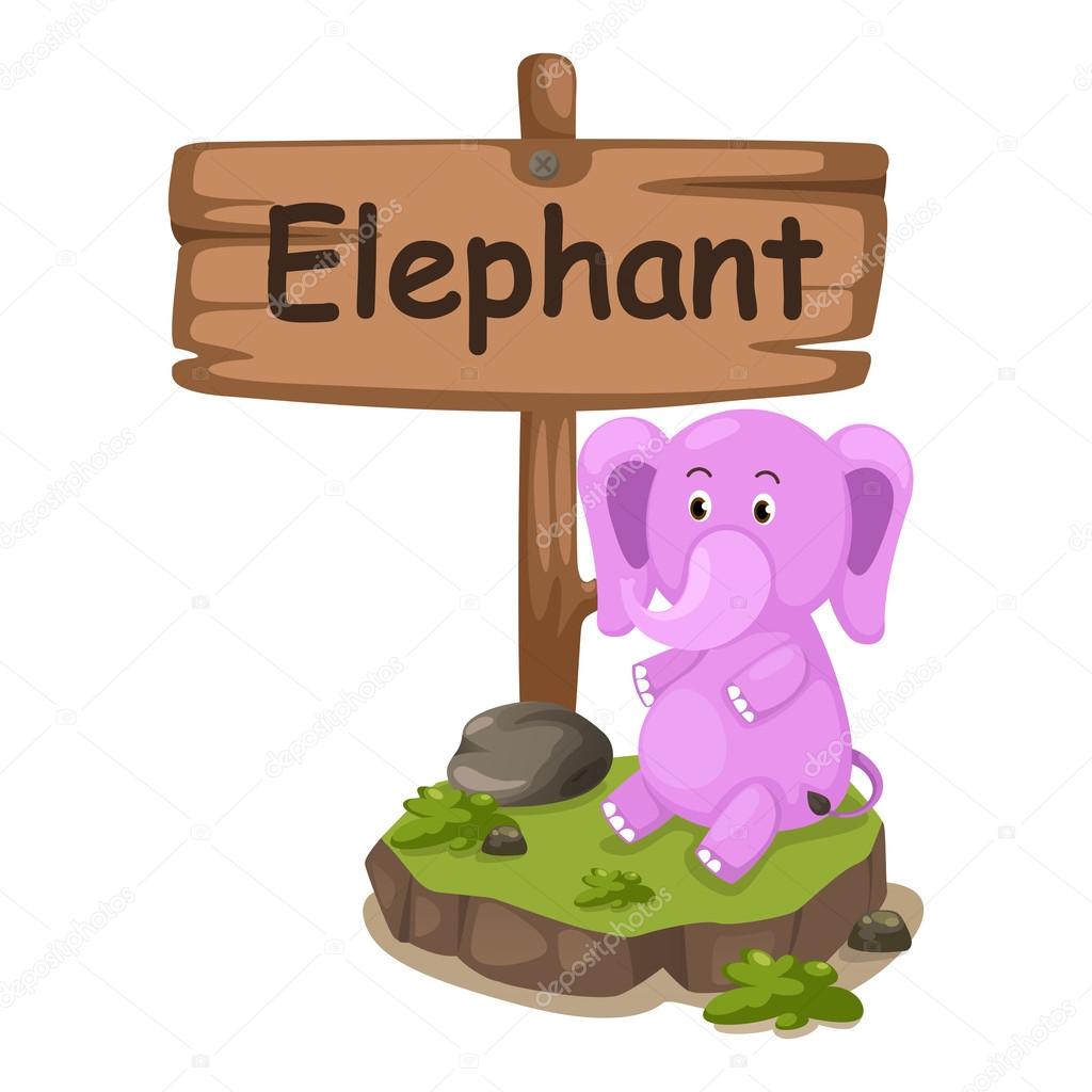animal alphabet letter E for elephant