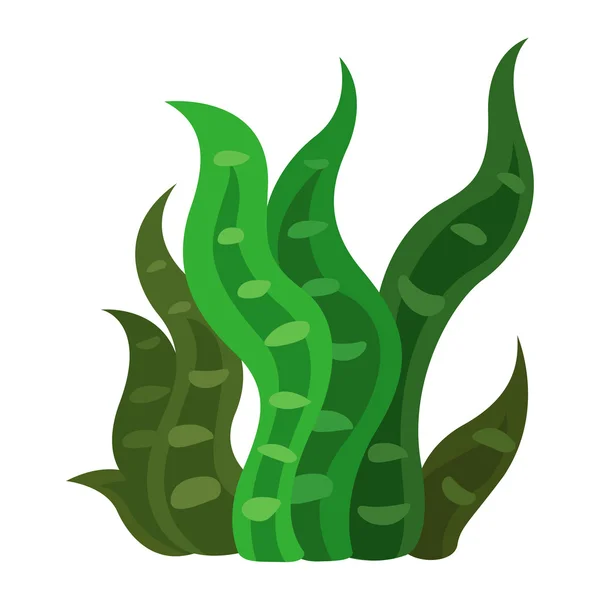Vecteur d'algues marines — Image vectorielle