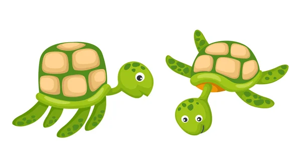 Dos tortuga vector — Vector de stock