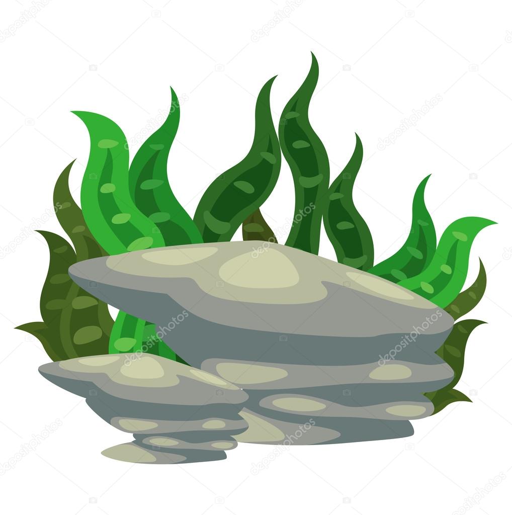 seaweed with stone vector