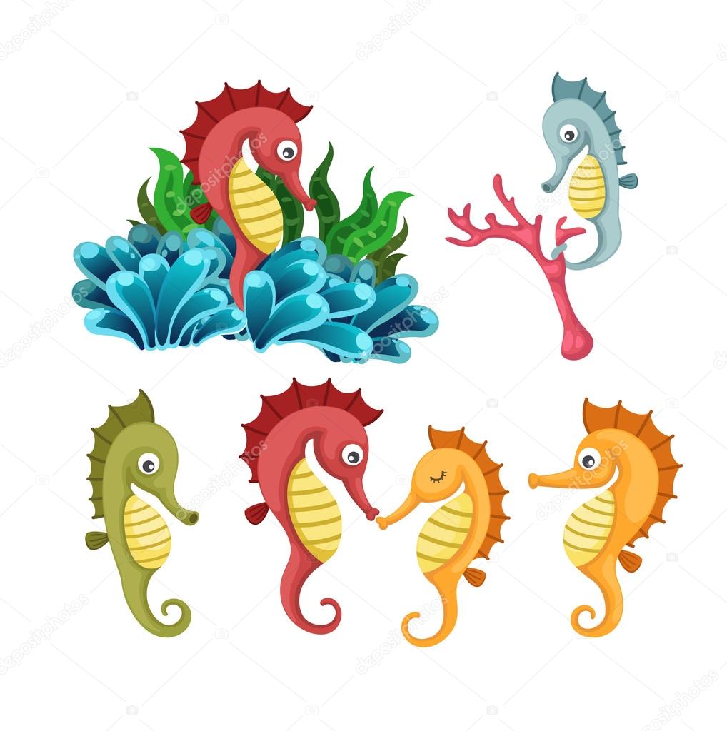 sea horse vector