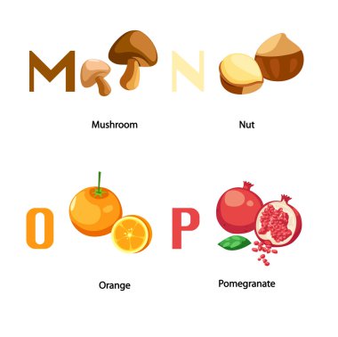 Alfabe M-P letter.mushroom,nut, portakal, nar .vector
