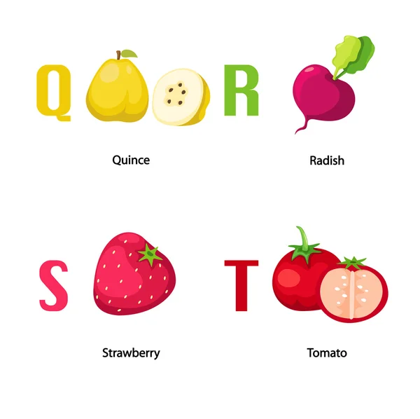 Alfabeto Q-T letter.quince, radis h, fragola, pomodoro .vector — Vettoriale Stock