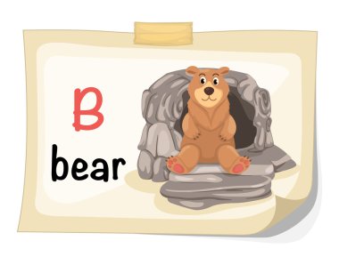 hayvan alfabesi harfi b ayı illüstrasyon vektör için