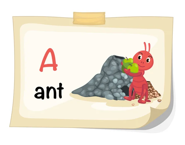 Animal alphabet letter A for ant illustration vector — Stock Vector