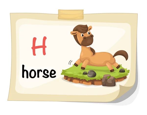 Zvířecí abecedě písmeno h pro vektorové ilustrace koně — Stockový vektor