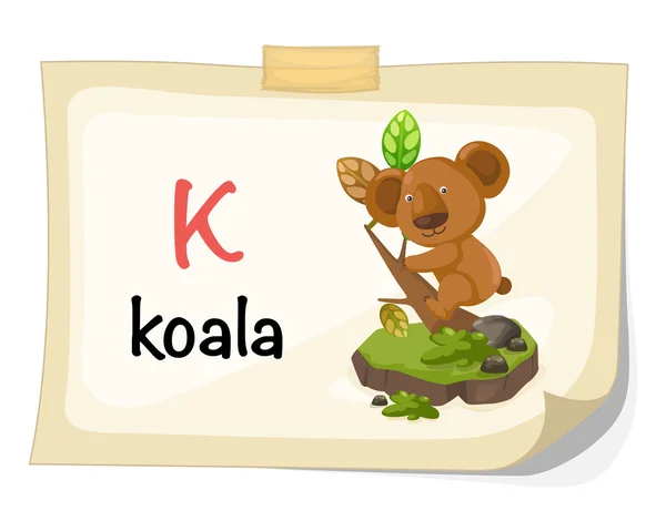 Alphabet animal lettre K pour koala illustration vecteur — Image vectorielle