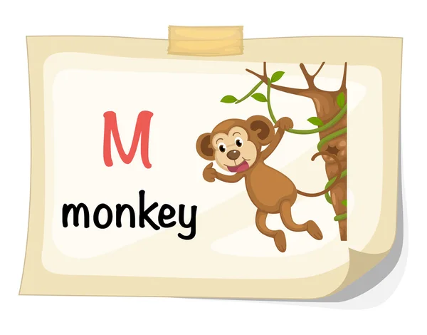 Animal alphabet letter M for monkey illustration vector — Stock Vector