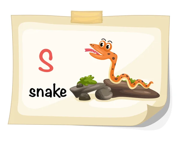 Animal alphabet letter S for snake illustration vector — Stock Vector