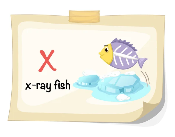 Animal Alphabet Buchstabe x für Röntgenfisch Illustrationsvektor — Stockvektor