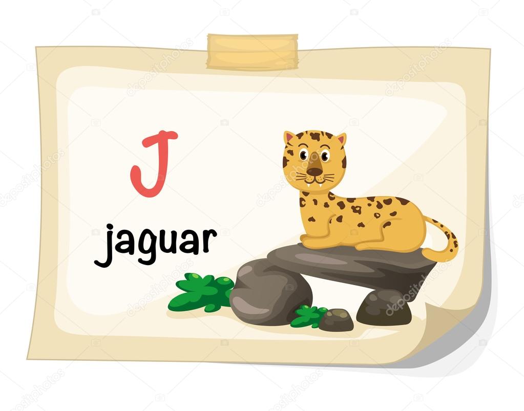 Animal alphabet letter J for jaguar illustration vector Stock Vector Image by ©jehsomwang #59929239 Animal alphabet letter J for jaguar illustration vector Stock Vector Image by ©jehsomwang #59929239