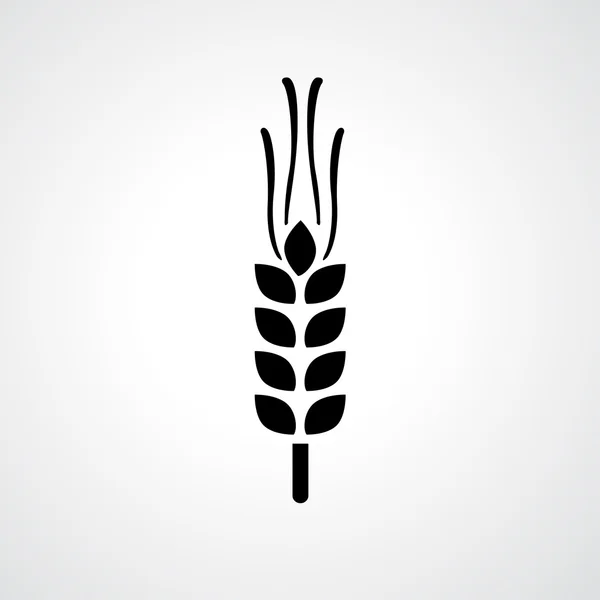 Wheat icon vector — Stock Vector