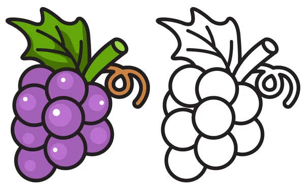 Uvas coloridas y blancas y negras para colorear libro — Vector de stock