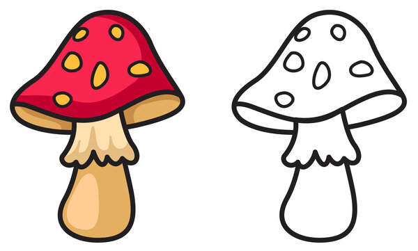 colorful and black and white mushrooms for coloring book