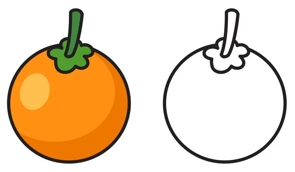 Oranges colorées et noires et blanches pour livre à colorier — Image vectorielle