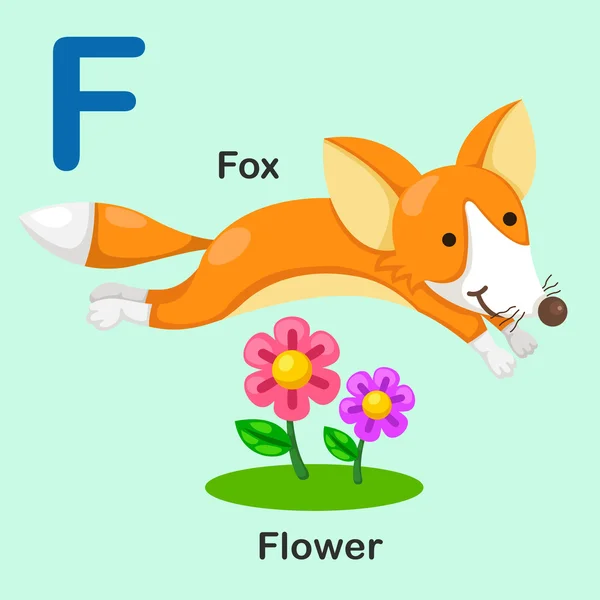 İllüstrasyon izole hayvan Alfabe harf F-Fox-çiçek — Stok Vektör