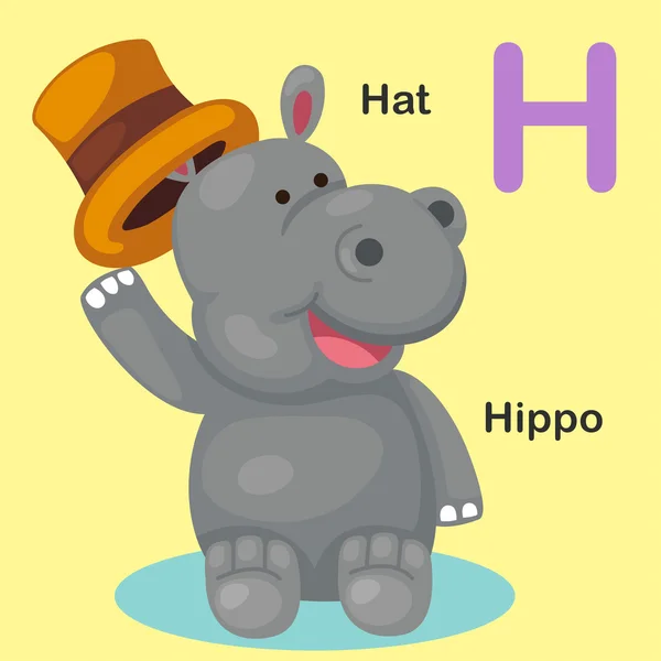 Ilustrace izolované zvířat abecedě písmeno H-klobouk, hroch — Stockový vektor
