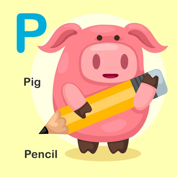 Ilustração Isolado Animal Alphabet Letter P-Pig, Lápis —  Vetores de Stock