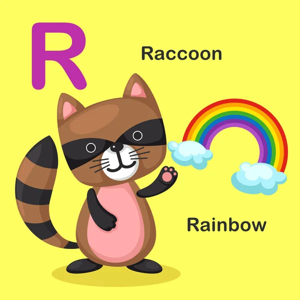 Ilustración Letra aislada del alfabeto animal R-Rainbow, Mapache — Vector de stock