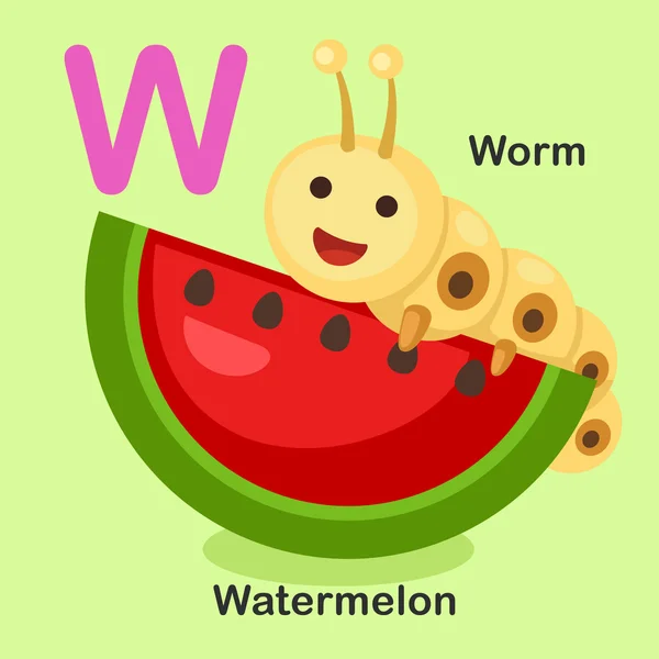 Abbildung isoliert Tier Alphabet Buchstabe w-Wassermelone, Wurm — Stockvektor