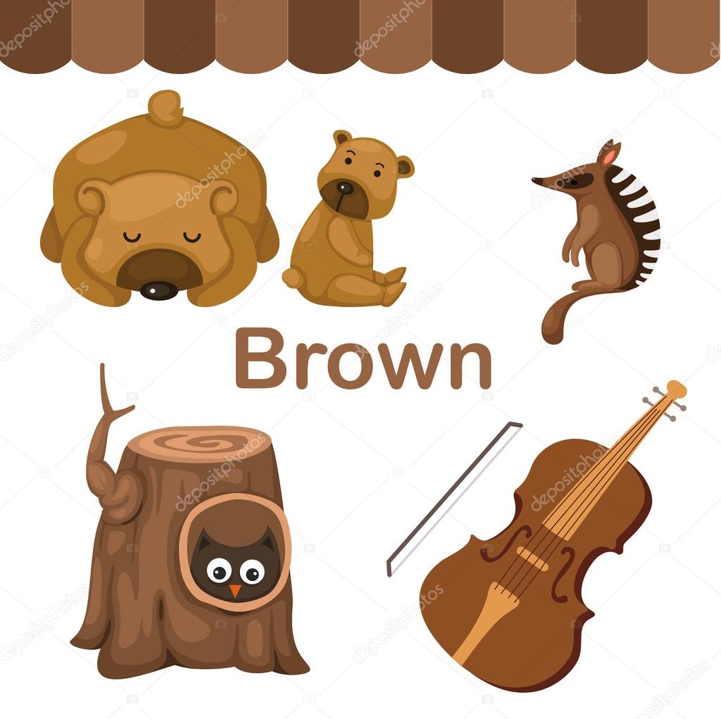 Illustration of isolated color brown group