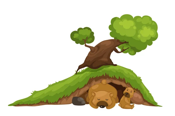 Oso durmiendo en cueva vector — Vector de stock