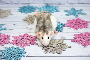 Kar taneleri arasında dekoratif bir fare. Yeni yıl ve Noel tatili.