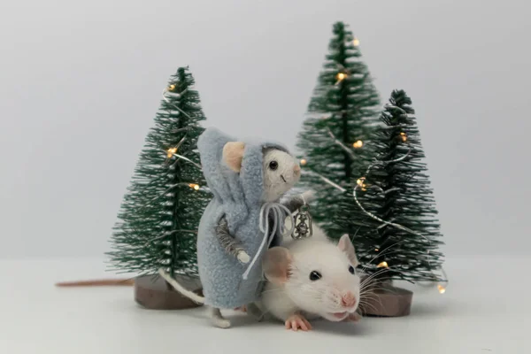 White Little Rat Beautiful Holiday Trees Forest Toy Form Plush — Φωτογραφία Αρχείου