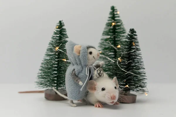 Белая Крыса Среди Красивых Праздничных Деревьев Лесу Игрушка Виде Плюшевой Стоковое Изображение